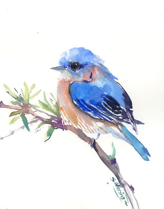 570x725 Eastern Bluebird, Original Watercolor Painting, 10 X 8 In - Bluebird Watercolor