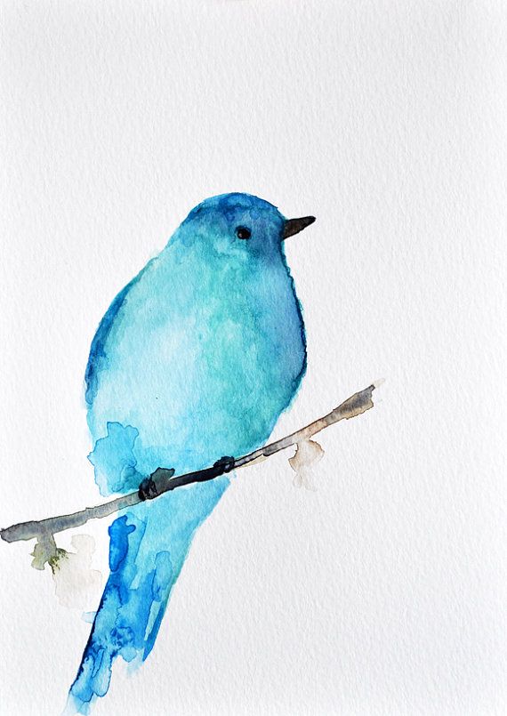 570x805 Blue Bird - Bluebird Watercolor