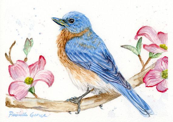 570x403 Eastern Bluebird Watercolor Print Maven Flair - Bluebird Watercolor