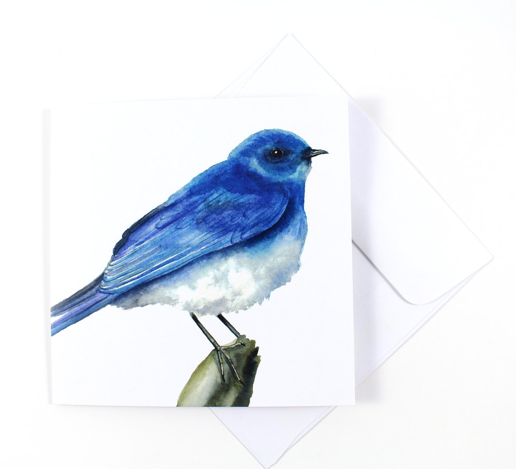 1060x963 Mountain Bluebird Watercolor Card Laura Ashton Illustration Amp Design - Bluebird Watercolor