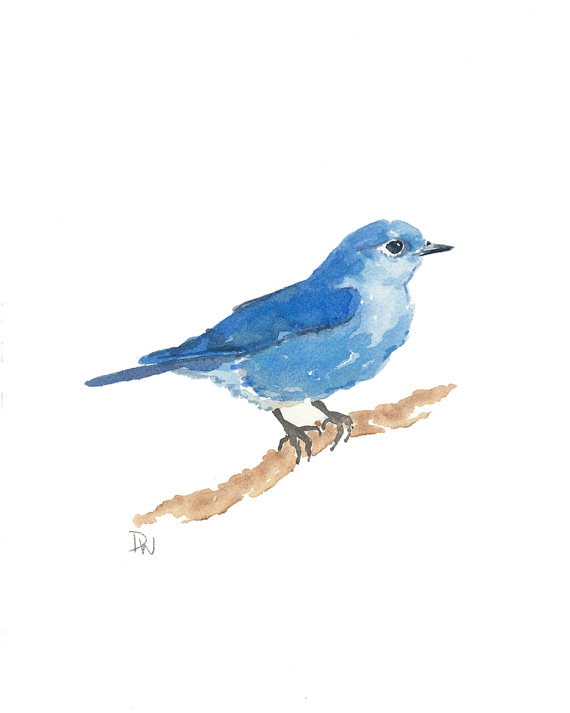 570x713 Original Bird Watercolor - Bluebird Watercolor
