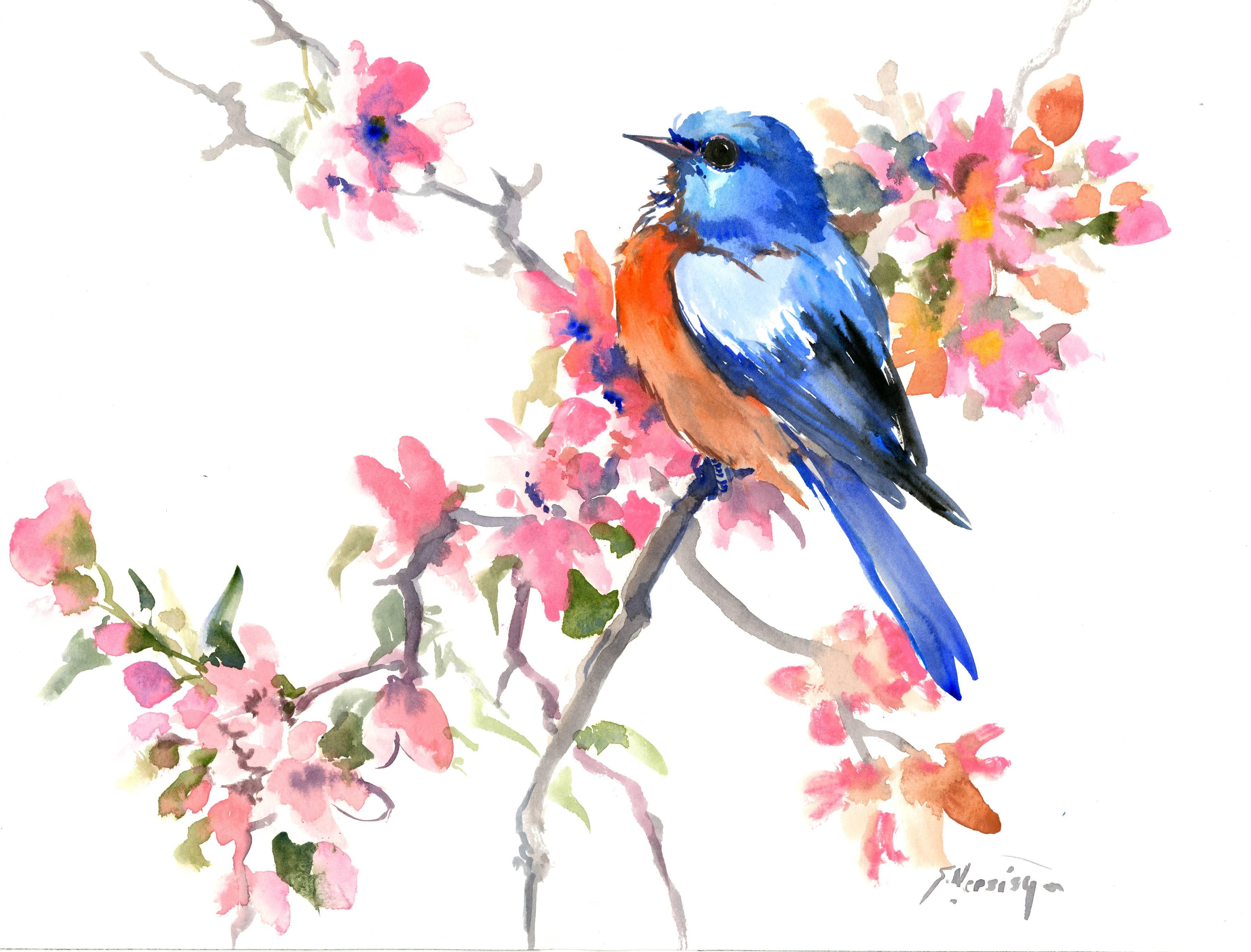 3600x2739 Suren Nersisyan - Bluebird Watercolor
