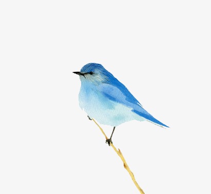 411x378 Watercolor Blue Bird, Bird Clipart, Watercolor Clipart Png Image - Bluebird Watercolor