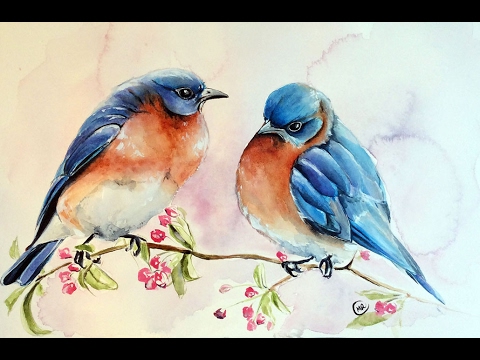 480x360 Watercolor Blue Birds Painting Demonstration - Bluebird Watercolor