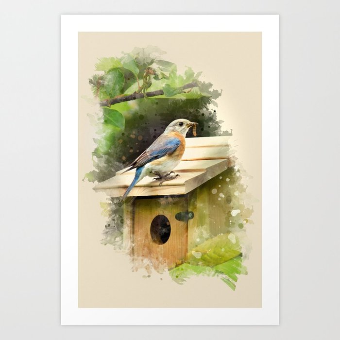 700x700 Watercolor Bluebird Art Art Print By Christinarollo Society6 - Bluebird Watercolor