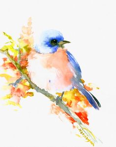 236x298 Eastern Bluebird By Carol Kroll Watercolor - Bluebird Watercolor