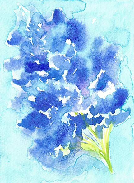 431x587 Texas Series - Bluebonnet Watercolor