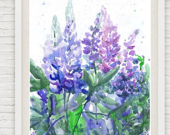 340x270 Bluebonnet Art Etsy - Bluebonnet Watercolor