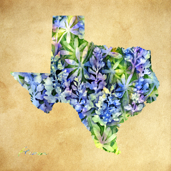 600x600 Hailey E Herrera - Bluebonnet Watercolor