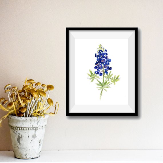 570x570 Art Print Bluebonnet Blue Bonnet Watercolor Print Wild Etsy - Bluebonnet Watercolor