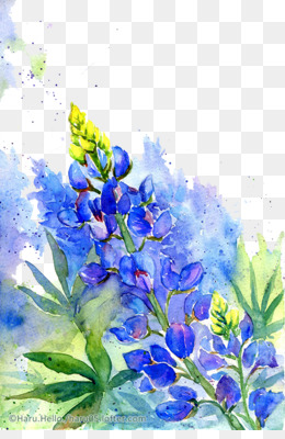 260x400 Bluebonnet Png Amp Bluebonnet Transparent Clipart Free Download - Bluebonnet Watercolor