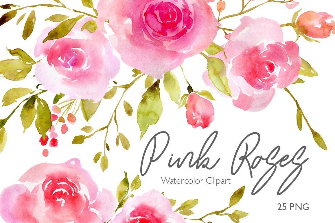 1158x772 Pink Blush Watercolor Flowers Roses Png - Blush Watercolor