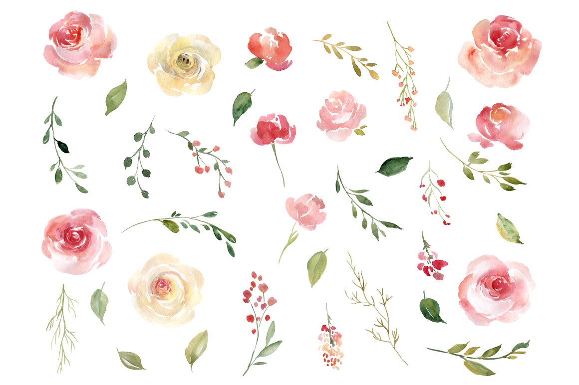 1160x772 Blush Watercolor Flowers Roses Collection By Watercolorflowers - Blush Watercolor Flowers