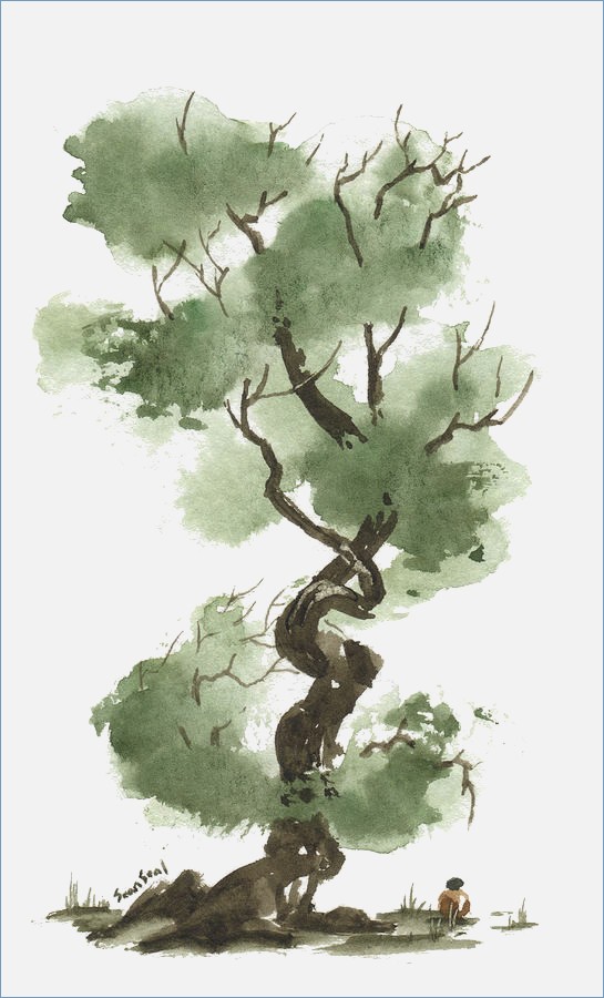 545x900 Bonsai Tree Watercolor - Bonsai Tree Watercolor
