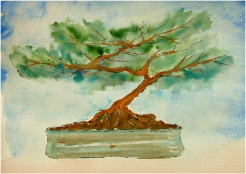500x353 Bonsai Tree Watercolour Amp Ink Year Of Creativity - Bonsai Tree Watercolor