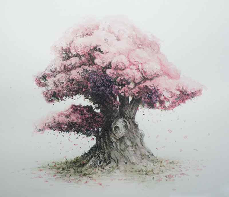 800x689 Bonsai Watercolor 01 By Masakonen - Bonsai Tree Watercolor