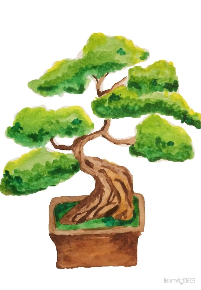 691x1000 Bonsai Watercolor Shirts By Mandyd23 Redbubble - Bonsai Tree Watercolor