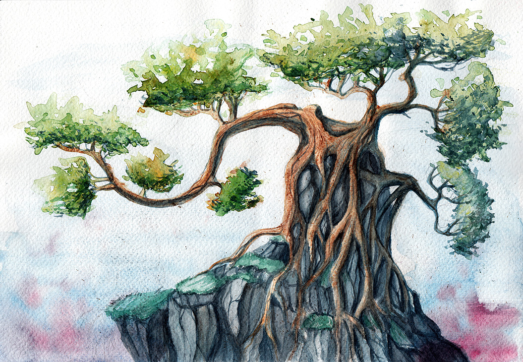 1055x730 Watercolor Tree By Friendlychestnut - Bonsai Tree Watercolor