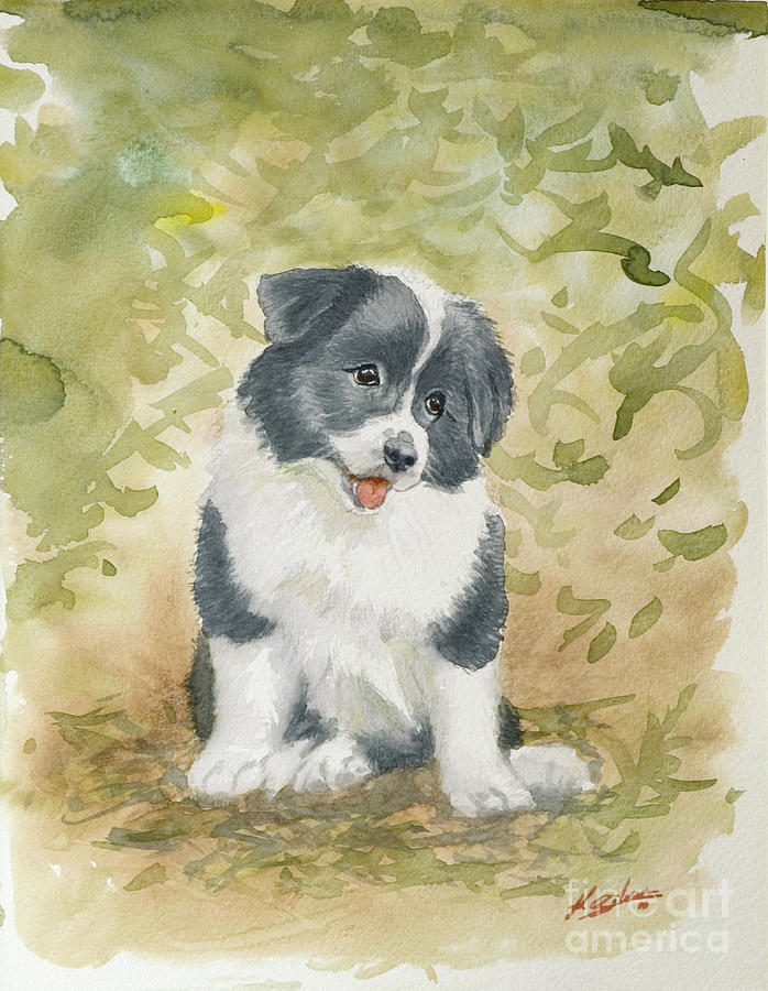 698x900 Border Collie Pup Portrait Ii Painting By John Silver - Border Collie Watercolor