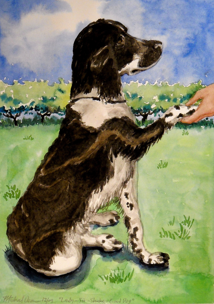 723x1024 Border Collie Watercolor (16x12) Watercolor On Paper - Border Collie Watercolor
