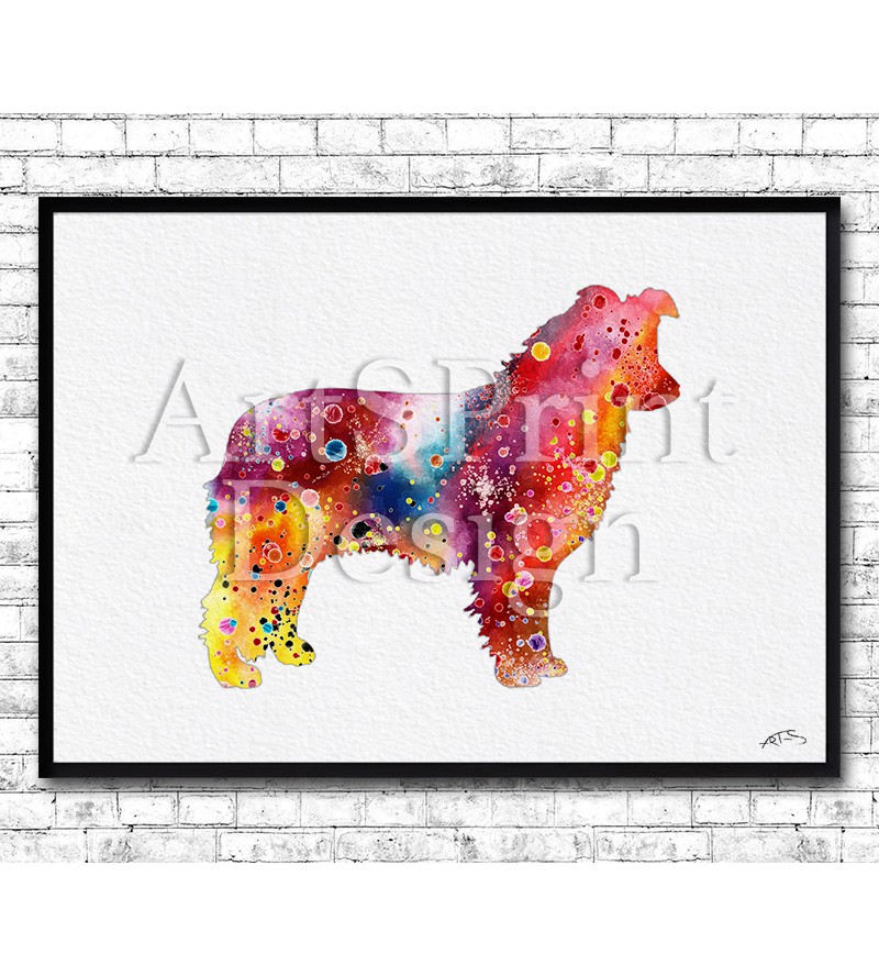 800x888 Border Collie Watercolor Art - Border Collie Watercolor