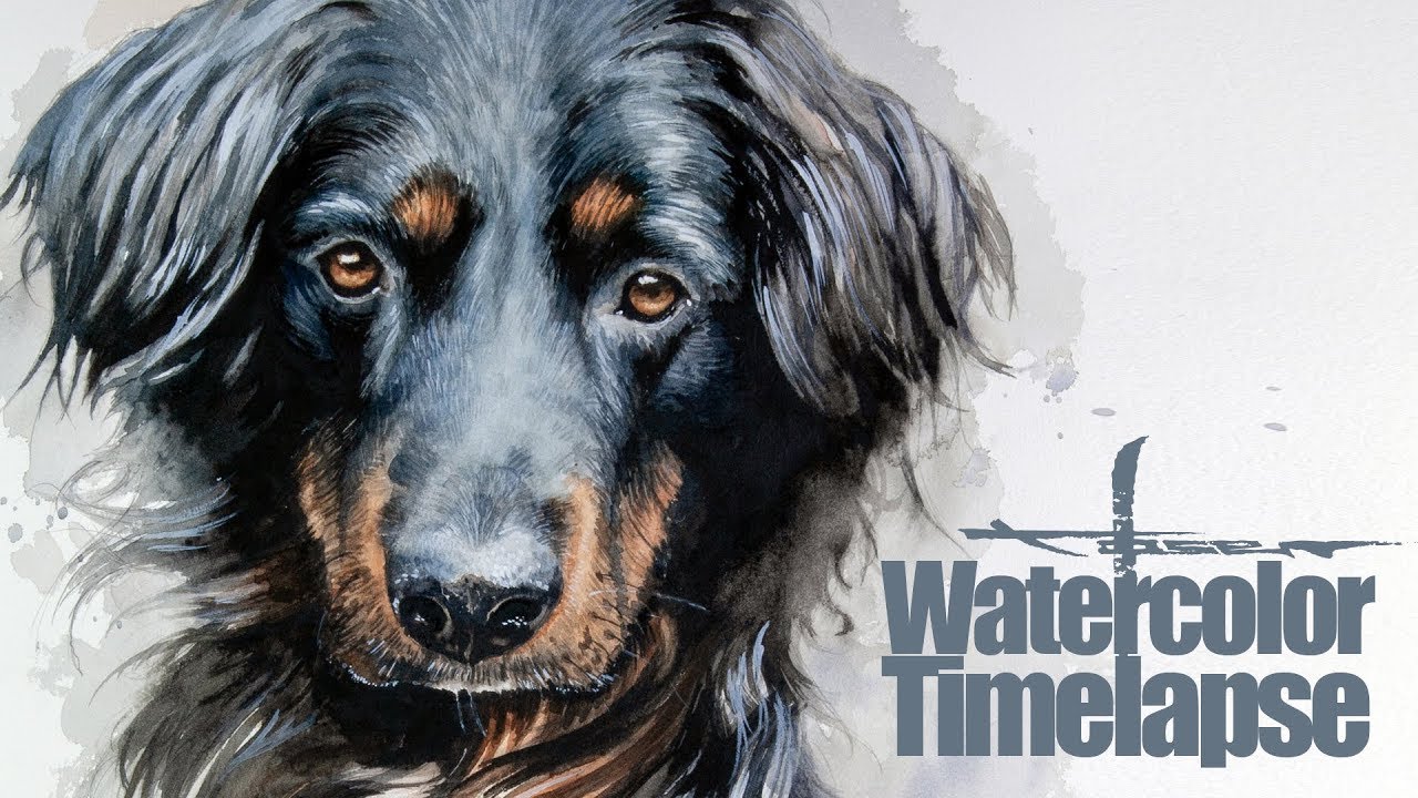 1280x720 Watercolor [Speed Painting - Border Collie Watercolor