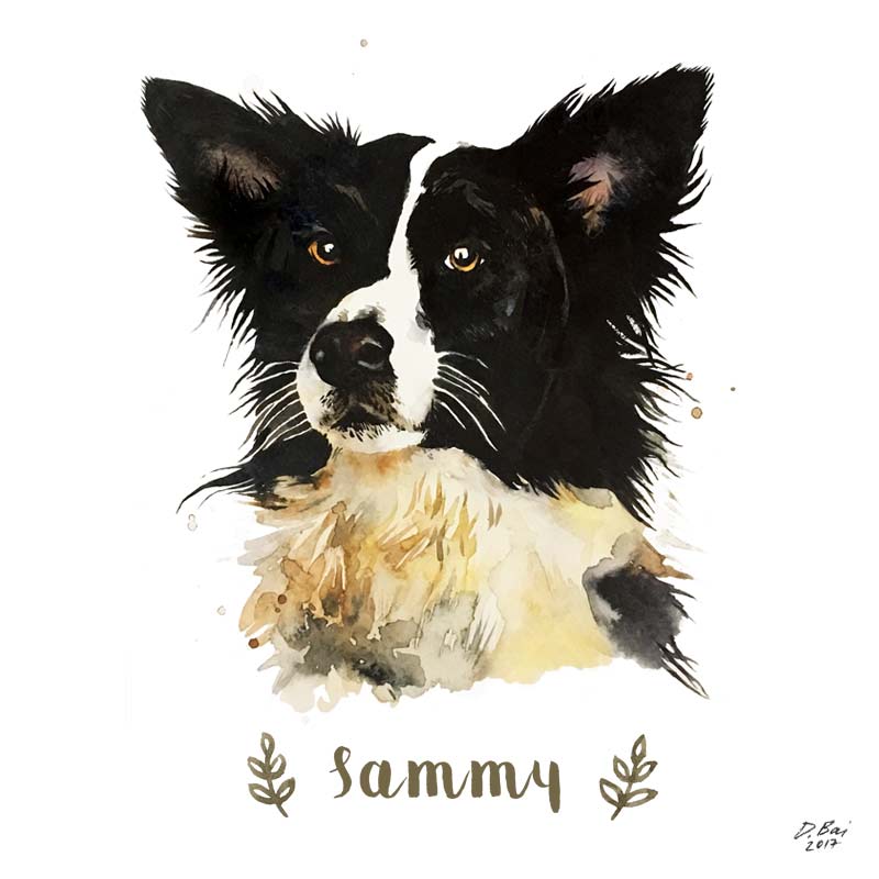 800x800 Watercolor Pet Portrait, Digital Art Print Farbami - Border Collie Watercolor