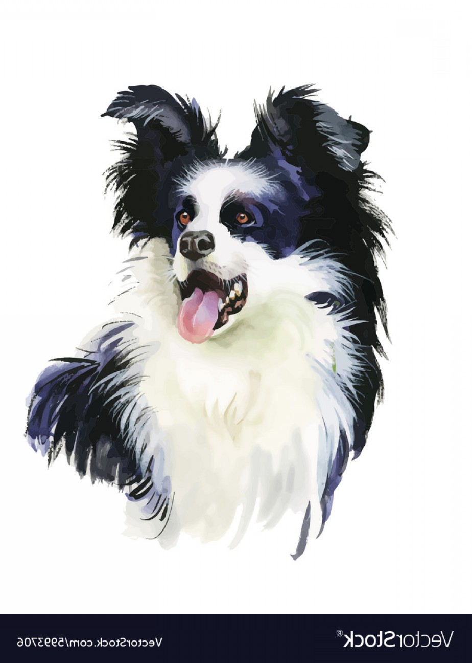 924x1296 Border Collie Animal Dog Watercolor Vector Geekchicpro - Border Collie Watercolor