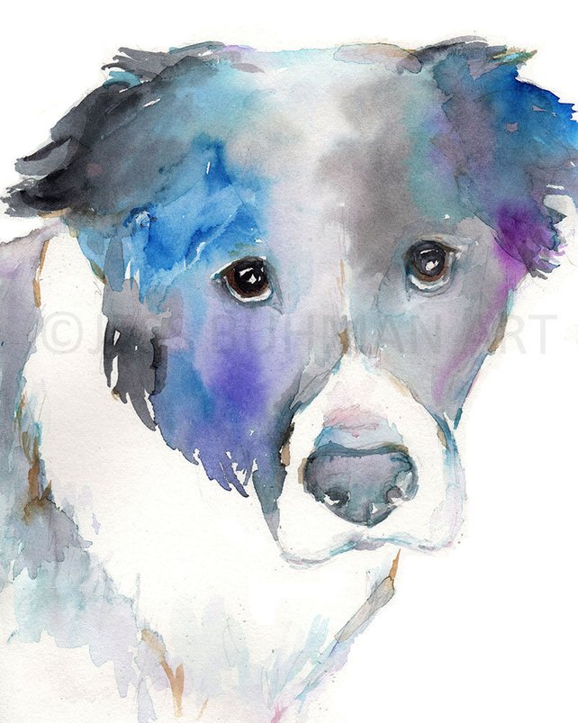 642x803 Border Collie Dog Watercolor Print Silver Dog 8 X Etsy - Border Collie Watercolor
