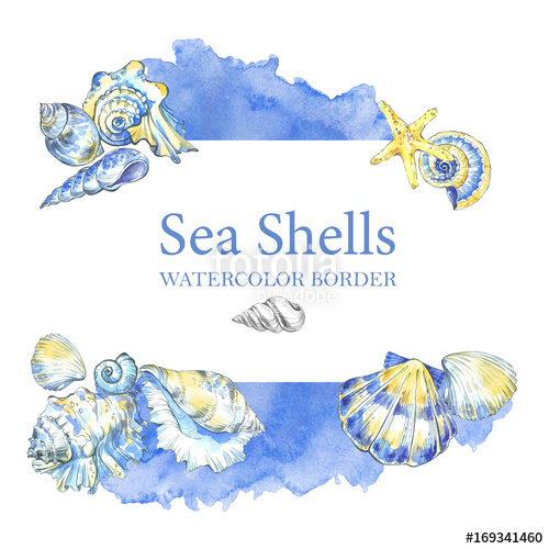 500x500 Hand Painted Seashells Border. Watercolor Decorative Summer - Border Watercolor