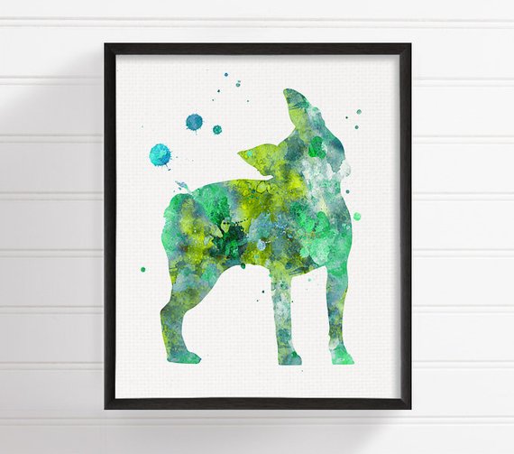570x503 Boston Terrier Watercolor Boston Terrier Art Boston Terrier Etsy - Boston Terrier Watercolor