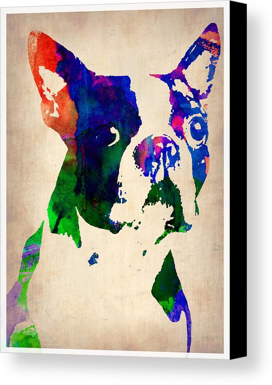 530x750 Boston Terrier Watercolor Canvas Print Canvas Art By Naxart Studio - Boston Terrier Watercolor