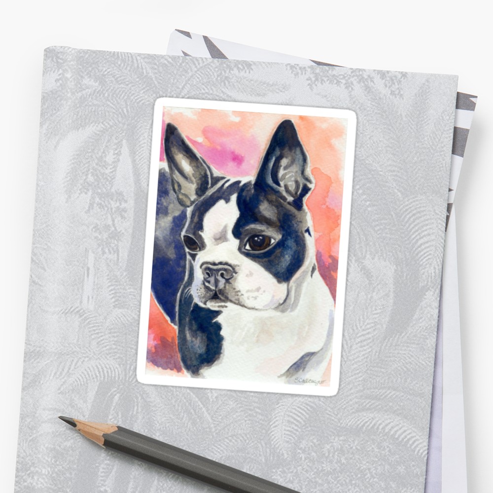 1000x1000 Boston Terrier Watercolor Stickers By Clarityart Redbubble - Boston Terrier Watercolor