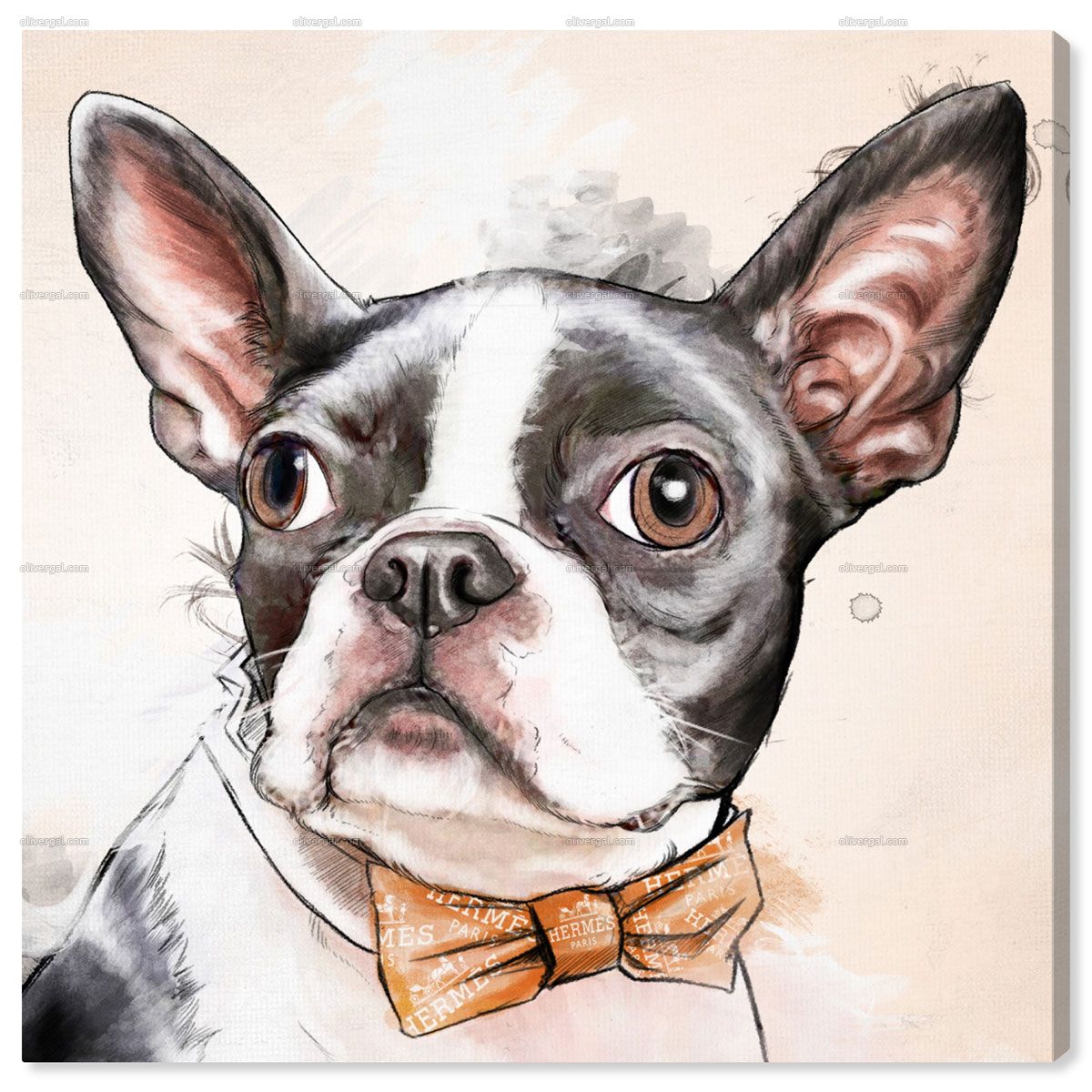 1200x1200 Boston Terrier Watercolor Wall Art Artwork Pets Dog Art - Boston Terrier Watercolor