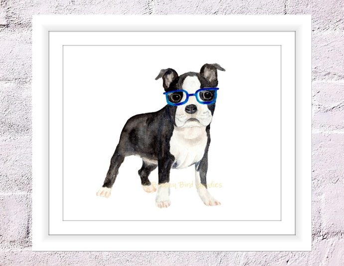 690x534 Boston Terrier In Blue Glasses Print, By Breezy Bird Goodies On Zibbet - Boston Terrier Watercolor