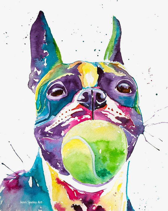 570x713 Boston Terrier Watercolor Print Boston Terrierboston Terrier Etsy - Boston Terrier Watercolor