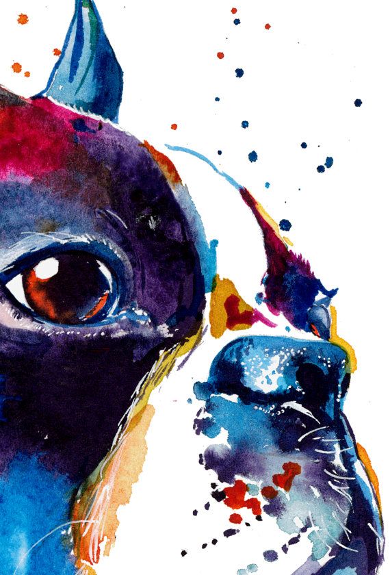 570x840 Colorful Boston Terrier Art Print - Boston Terrier Watercolor