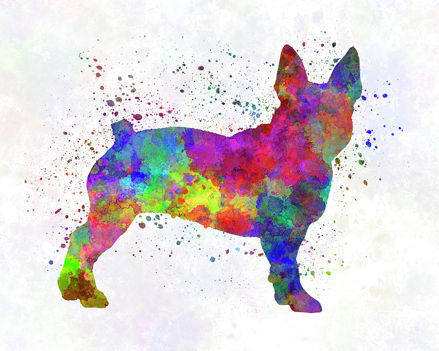 900x720 Boston Terrier 01 In Watercolor Painting By Pablo Romero - Boston Terrier Watercolor