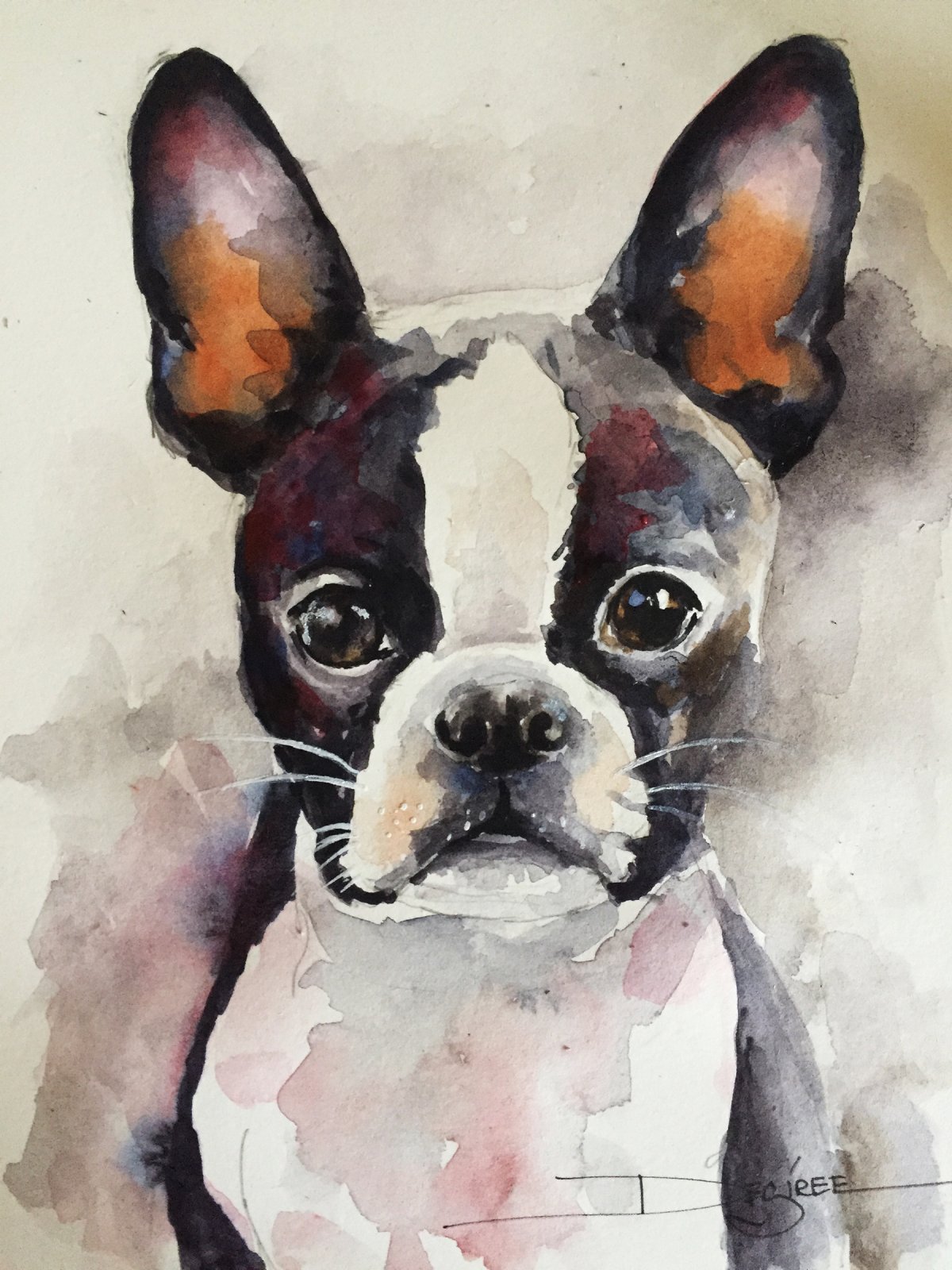 1200x1600 Boston Terrier Art Print 8x 10 (Aw 01) - Boston Terrier Watercolor