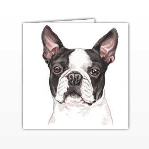 500x500 Boston Terrier Dog Greeting Card - Boston Terrier Watercolor