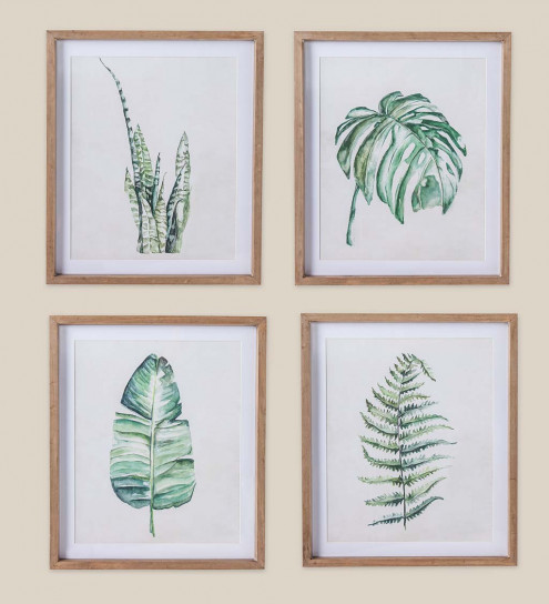 495x544 Framed Botanical Watercolor Print Set Of 4 Vivaterra - Botanical Watercolor