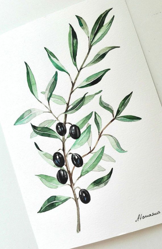 570x872 Olive Branch Painting Olives Watercolor Original Watercolor - Botanical Watercolor