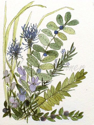 402x530 Watercolor Woodland Flowers Nature Art Illustration Quote - Botanical Watercolor