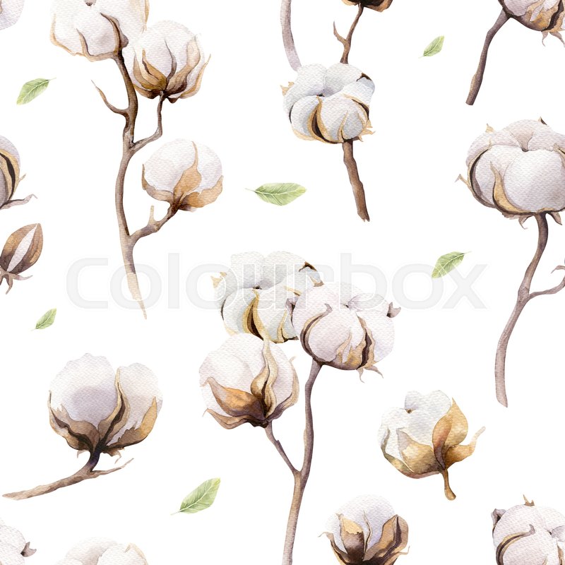 800x800 Watercolor Vintage Background With Twigs And Cotton Flowers Boho - Botanical Watercolor