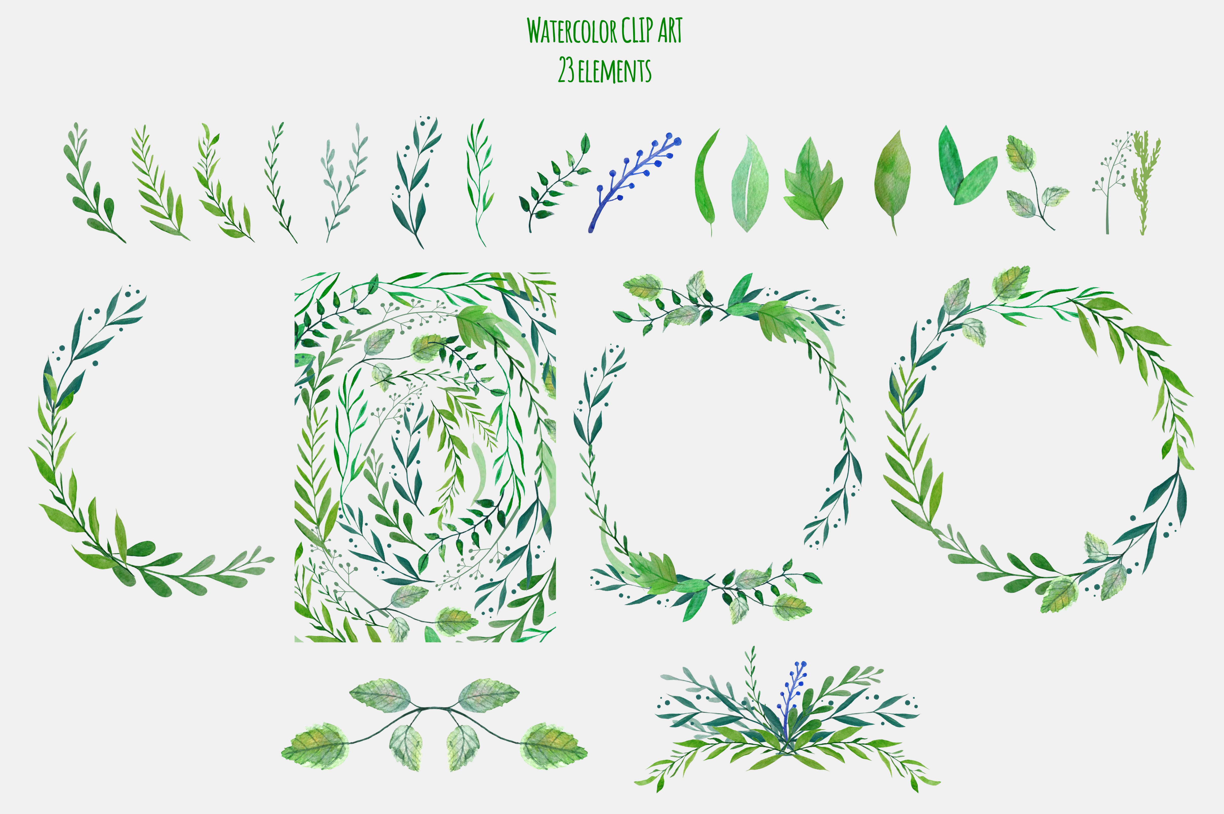 4833x3217 Botanical Watercolor Clipart - Botanical Watercolor