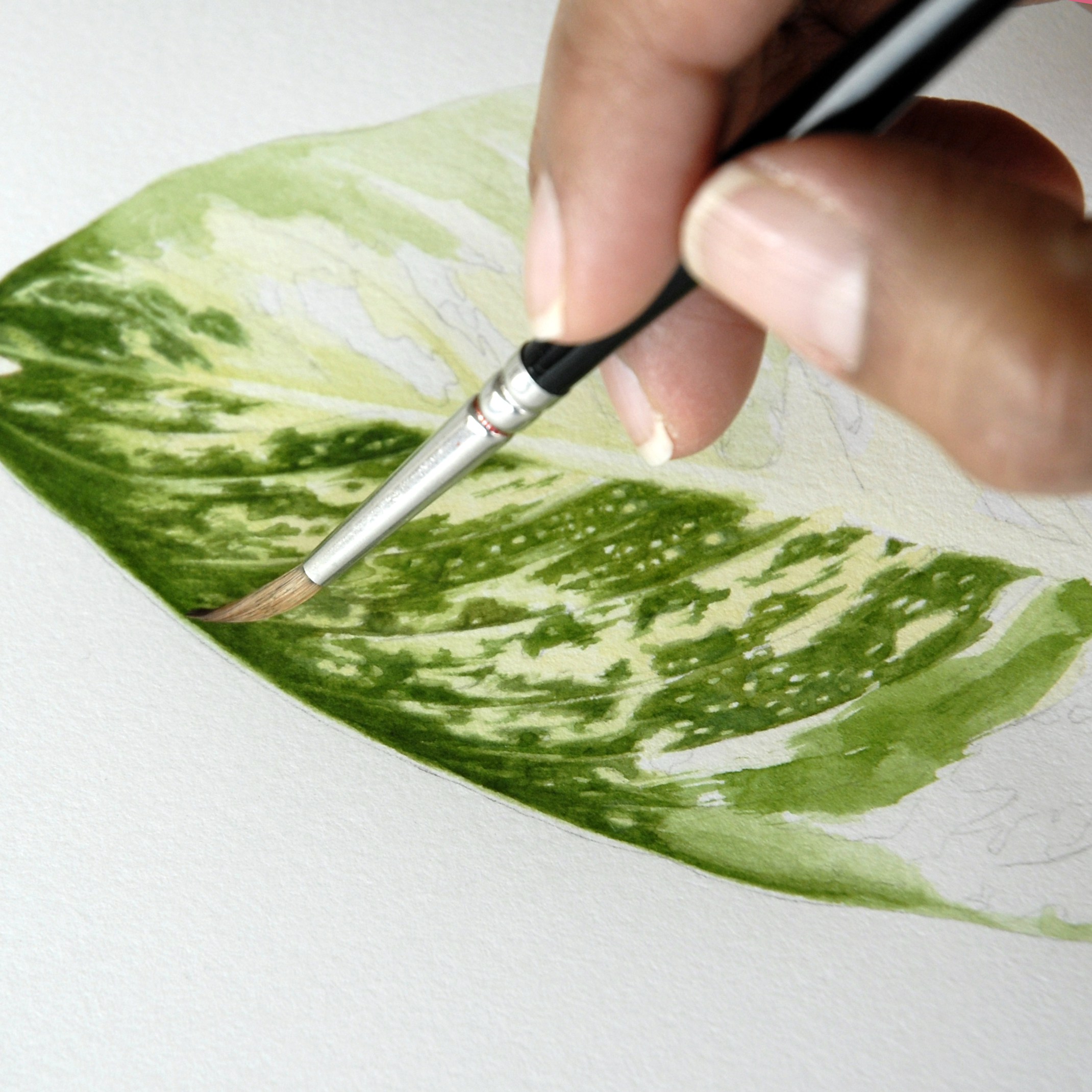 2140x2140 Nancy Snyder Painting Hand My Chicago Botanic Garden - Botanical Watercolor Painting