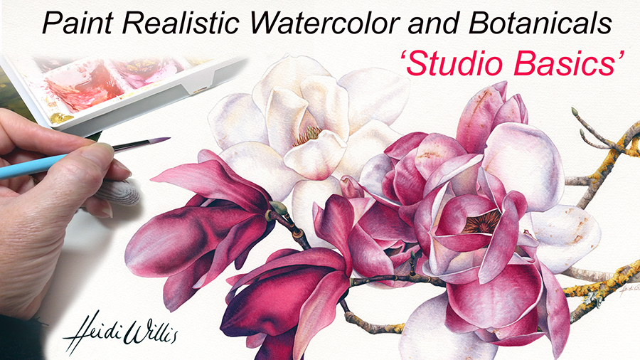 900x506 Online Watercolor Painting Tutorials Heidi Willis - Botanical Watercolor Painting