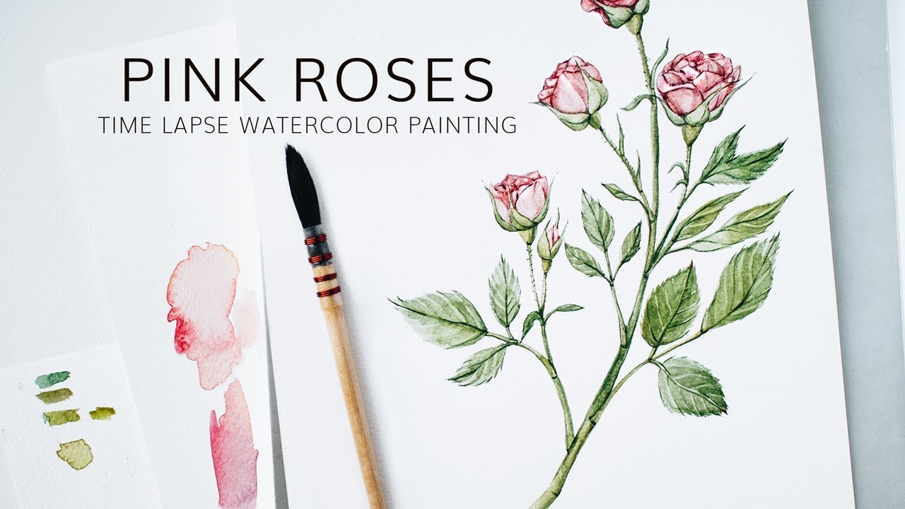 1280x720 Pink Roses Watercolor Painting Botanical Illustration Time Lapse - Botanical Watercolor Painting