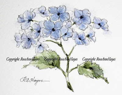 400x310 Watercolor Paintings By Roseann Hayes Hydrangea Watercolor - Botanical Watercolor Painting