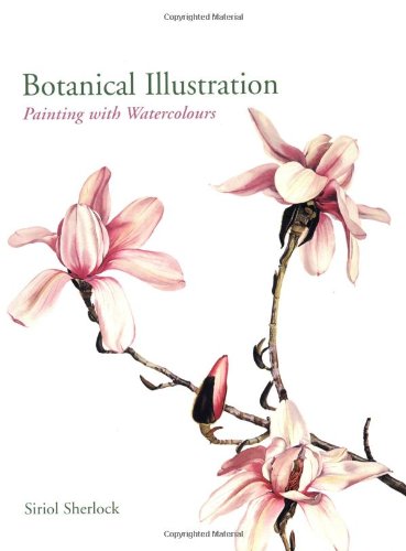 369x500 Botanical Illustration Painting With Watercolours Siriol - Botanical Watercolor Painting